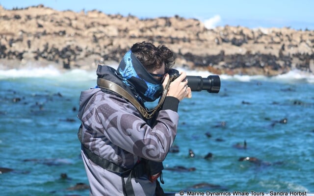 480963468_1229930482475802_2082117586888473788_n_1742537896