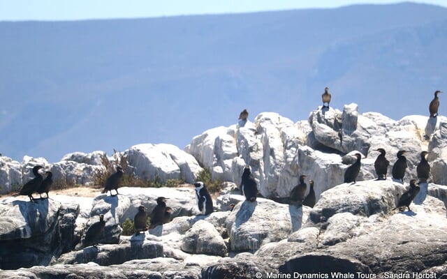 481808683_1229931799142337_3469232276648385364_n_1742537897