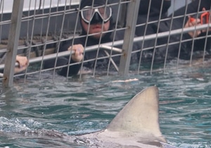 Celebrating 25 Years of Excellence!