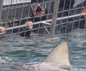 Celebrating 25 Years of Excellence!