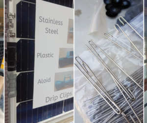 Protect Your Solar Panels from Nesting Birds!