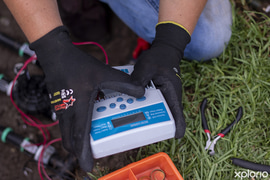 Automated Irrigation Systems for Easy Garden Care