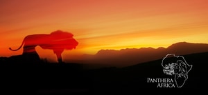 Last Sunset Visits of the Season!