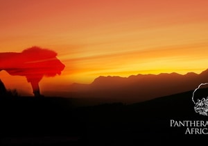 Last Sunset Visits of the Season!