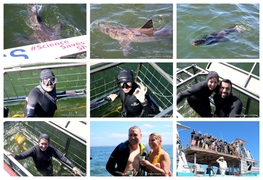 Daily Blog: 24 March 2025 | Shark Cage Diving in South Africa