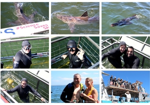Daily Blog: 24 March 2025 | Shark Cage Diving in South Africa