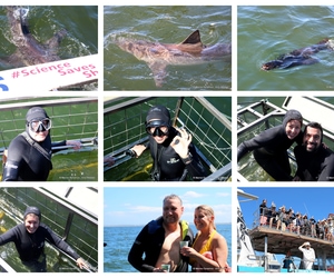 Daily Blog: 24 March 2025 | Shark Cage Diving in South Africa