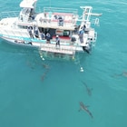 Special Local Prices for 2025!