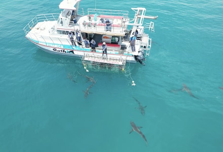 Special Local Prices for 2025!