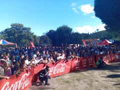 Grateful Hearts at L.R. Schmidt (Mor) Primary!