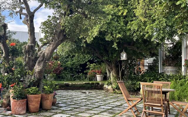 486523504_1294698125669509_1105702388812885232_n_1742973317