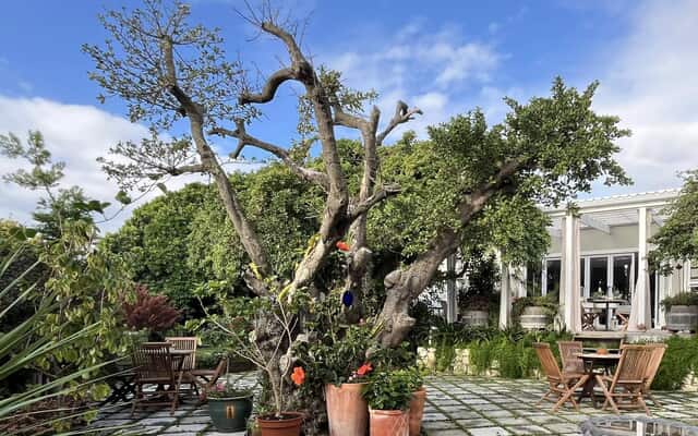 486616197_1294698152336173_3915564407031609031_n_1742973318