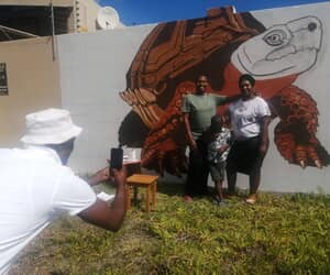 Gansbaai Mural Project: Fritz the Tortoise Unveiled