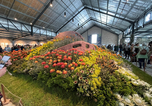 130-Year-Old Fynbos Seeds Grow Again!