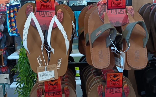 485794932_1195633092562909_6271575941993667713_n_1743078546