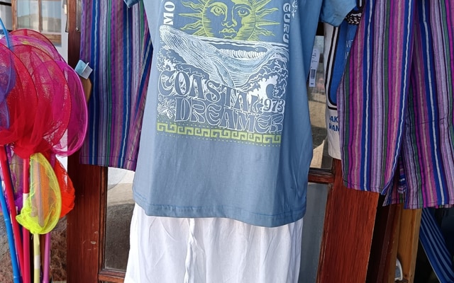 485359588_1195632335896318_8975559594696549163_n_1_1743078674