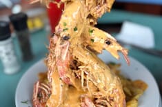 WhatsApp_Image_2025_03_31_at_20.27.59_1_1__1743584381