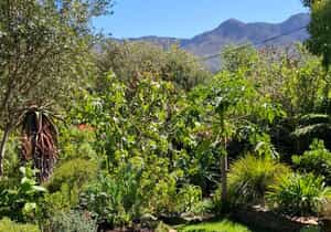 A Studio with a View!