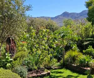 A Studio with a View!