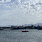 "Ganse" fisherman boats in the harbour after a good run of plenty fishing - CALAMARI SELF CATERING - Xplorio™ Gansbaai