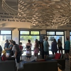 Penguin Sanctuary During 15:00 Feed Times Daily - CALAMARI SELF CATERING - Xplorio™ Gansbaai