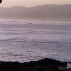 Gansbaai Fisher Boats Fishing near De Kelders in Walkerbay - CALAMARI SELF CATERING - Xplorio™ Gansbaai