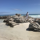 Franskraal Beach taking our "doggies" for a walk - CALAMARI SELF CATERING - Xplorio™ Gansbaai Franskraal Beach taking our "doggies" for a walk - CALAMARI SELF CATERING - Xplorio™ Gansbaai