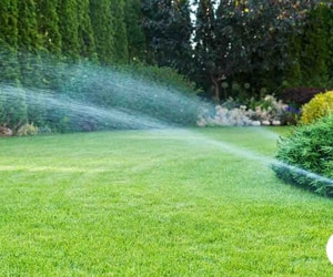 App-Controlled Irrigation Systems