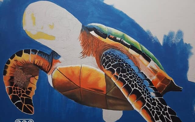 490343221_122179206548283540_5964565372040347903_n_1744698990