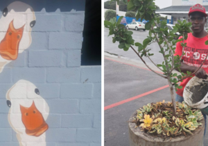 GGAP is making Gansbaai more gorgeous this Easter!