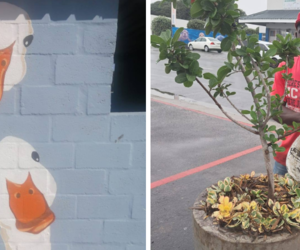 GGAP is making Gansbaai more gorgeous this Easter!