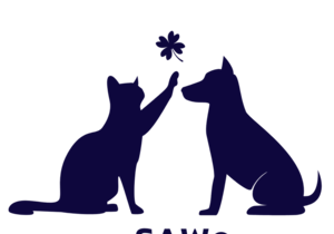 February to April 2025 Newsletter