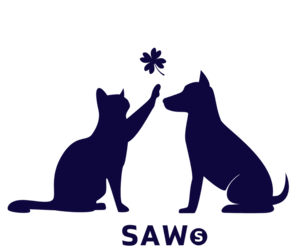 February to April 2025 Newsletter