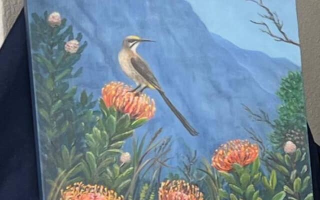 492219914_122180986928283540_6660570700773049611_n_1745306369