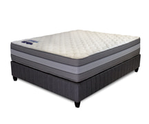 New In-Store! Rest Assured - Arctic Gentle