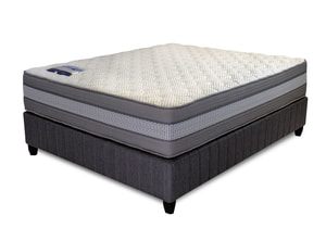 New In-Store! Rest Assured - Arctic Gentle