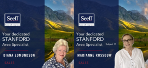 Seeff Stanford - Meet the Team