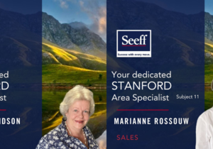Seeff Stanford - Meet the Team