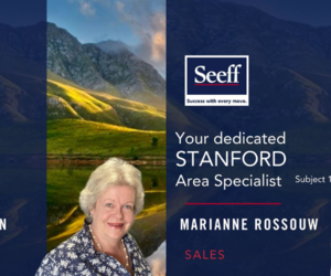 Seeff Stanford - Meet the Team