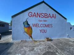 Stunning Sugar Bird Mural by BJ