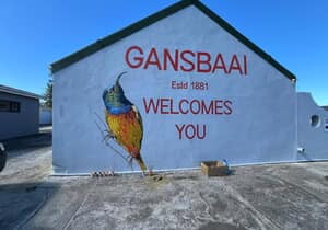 Stunning Sugar Bird Mural by BJ