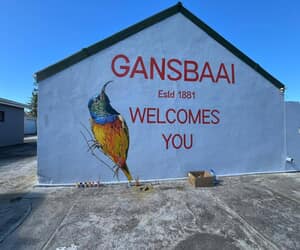 Stunning Sugar Bird Mural by BJ