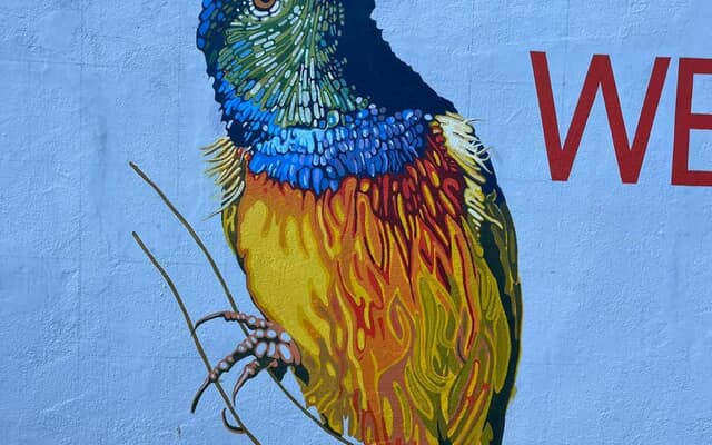 493370100_2520679054940402_3289966697583238901_n_1745571741