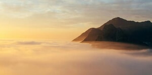 What Are We Reading?