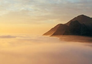 What Are We Reading?