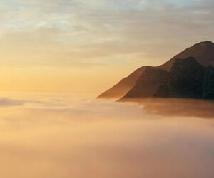 What Are We Reading?