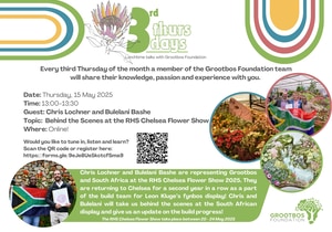 Back to Chelsea: Fynbos on Show!