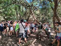 Learning in Nature with Grootbos Foundation