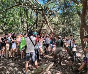 Learning in Nature with Grootbos Foundation