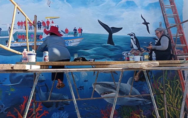 495369006_122183618060283540_3909609999210616848_n_1746607730